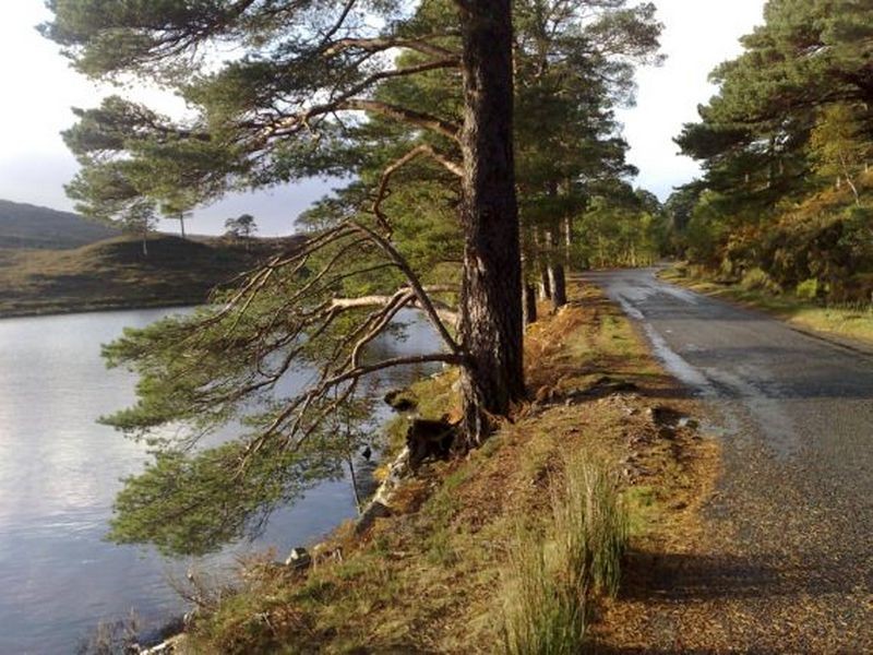 shieldaig glen